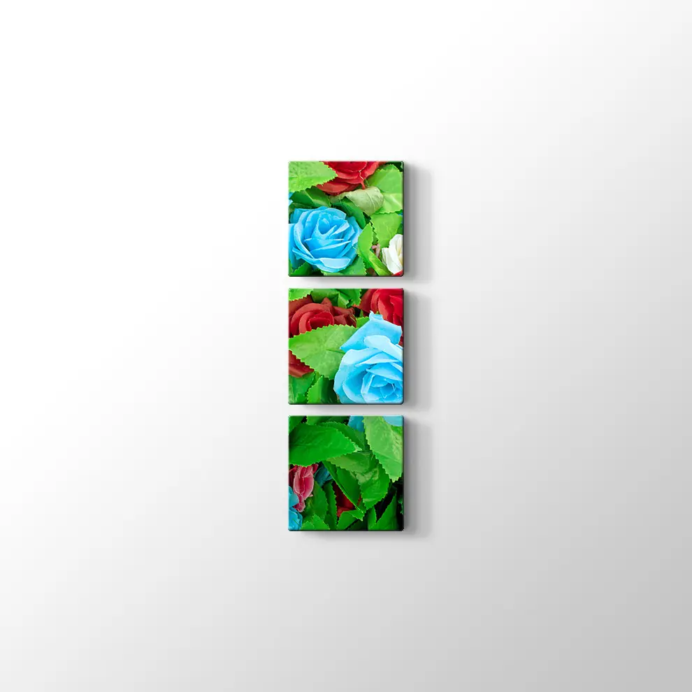 Renkli Güller Kanvas Tablo