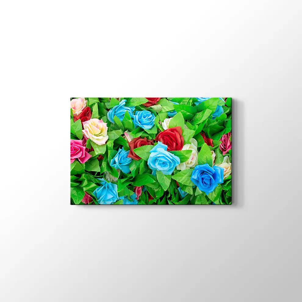 Renkli Güller Kanvas Tablo