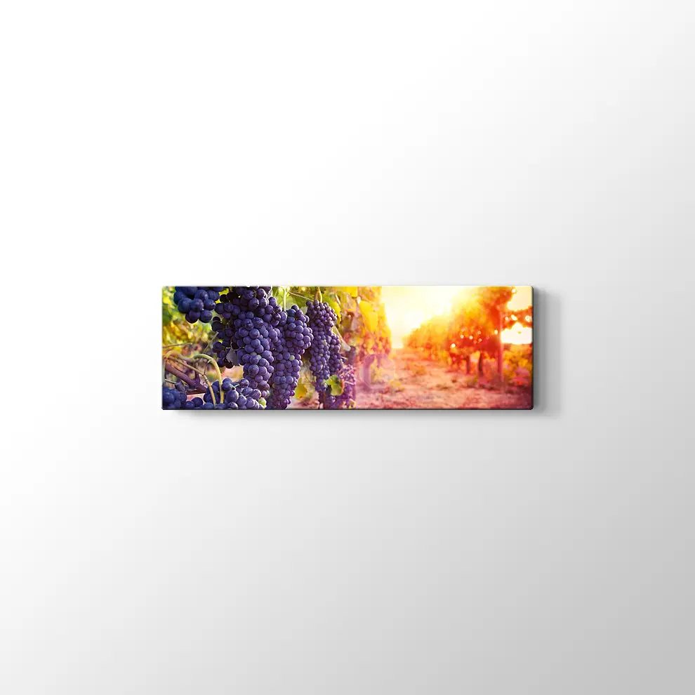 Üzüm Salkımları Kanvas Tablo