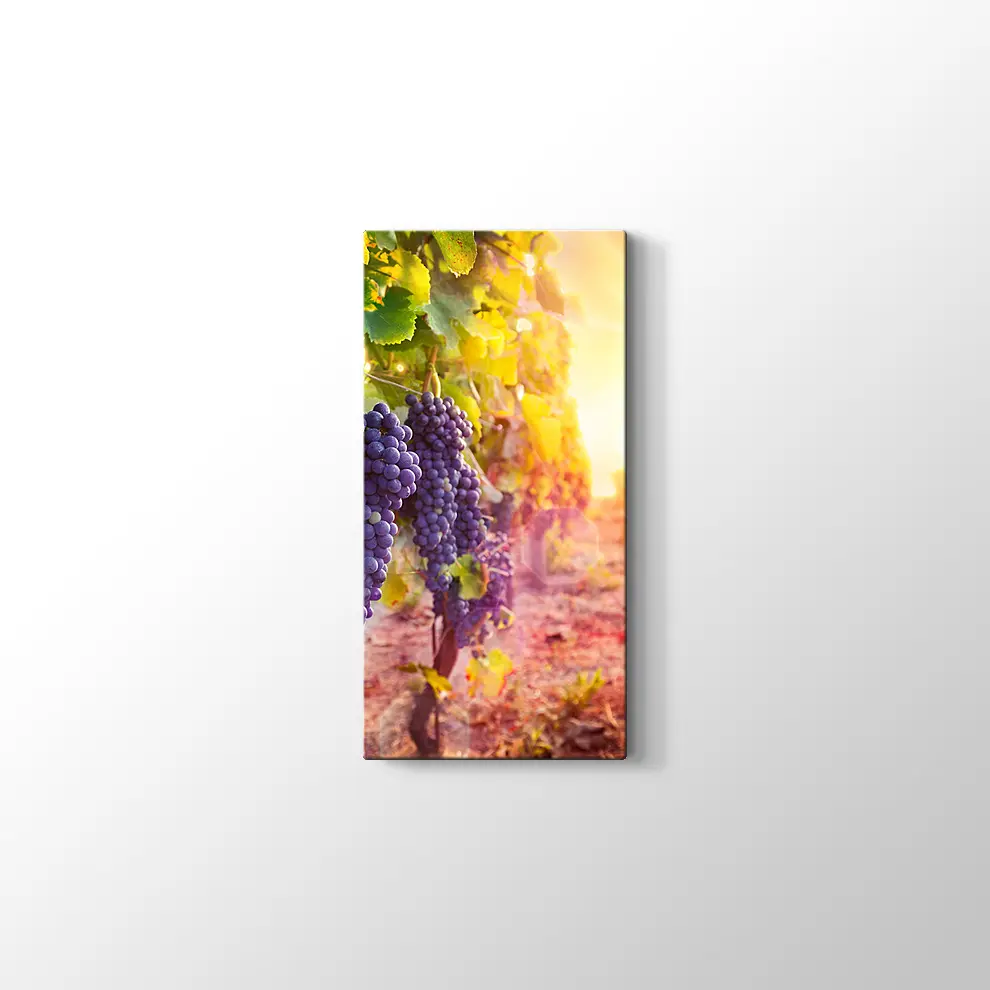 Üzüm Salkımları Kanvas Tablo