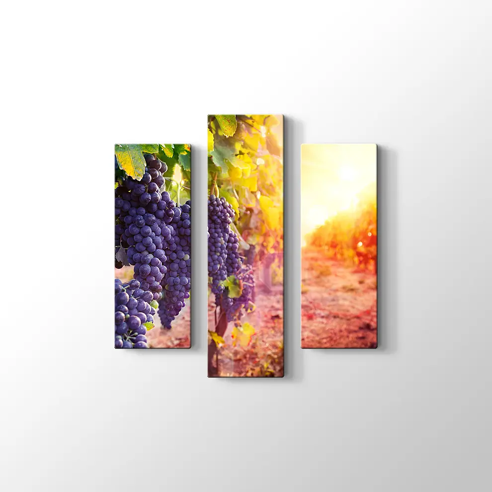 Üzüm Salkımları Kanvas Tablo