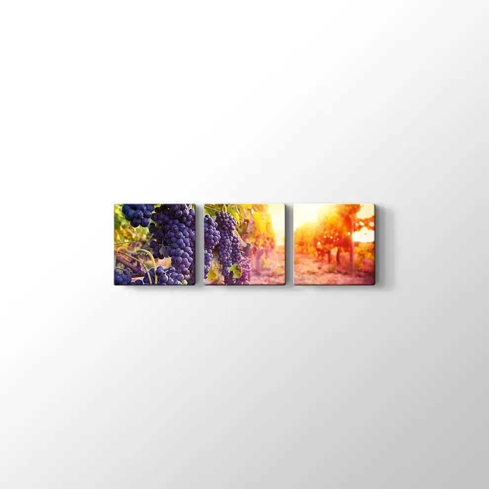 Üzüm Salkımları Kanvas Tablo