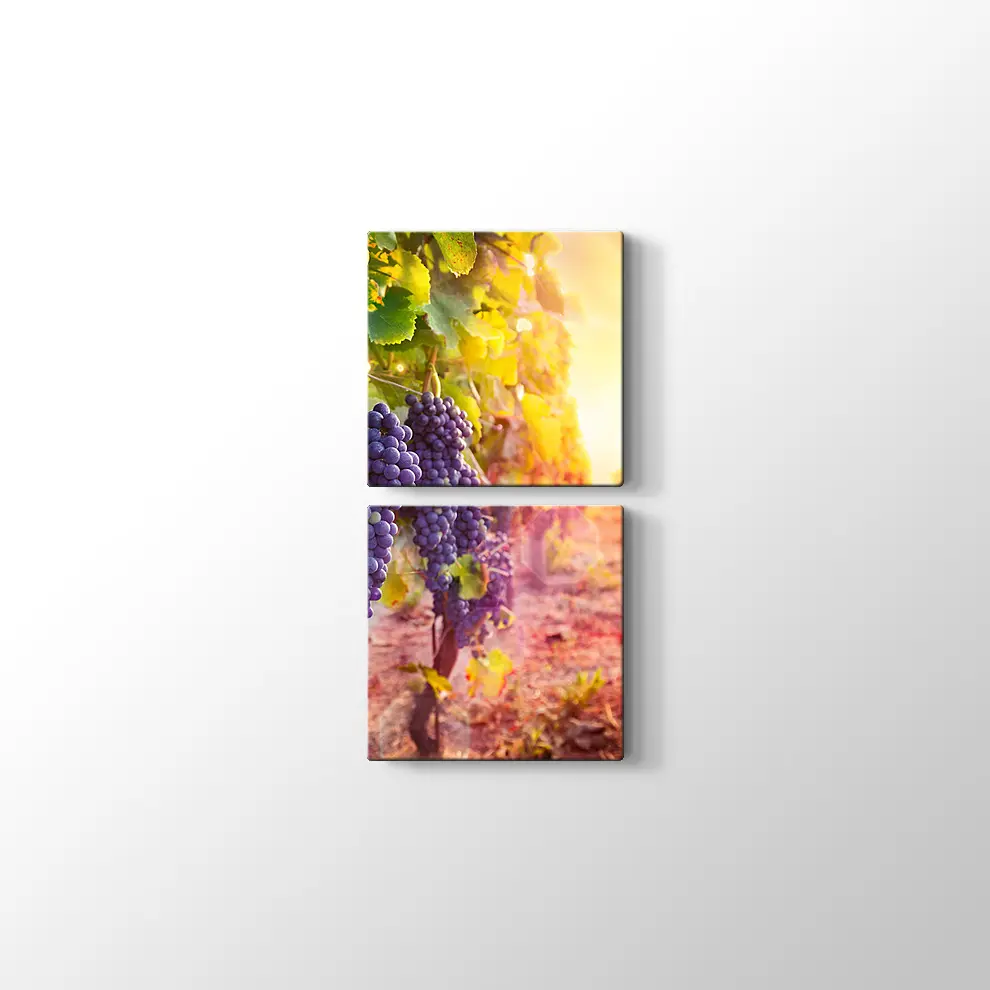 Üzüm Salkımları Kanvas Tablo