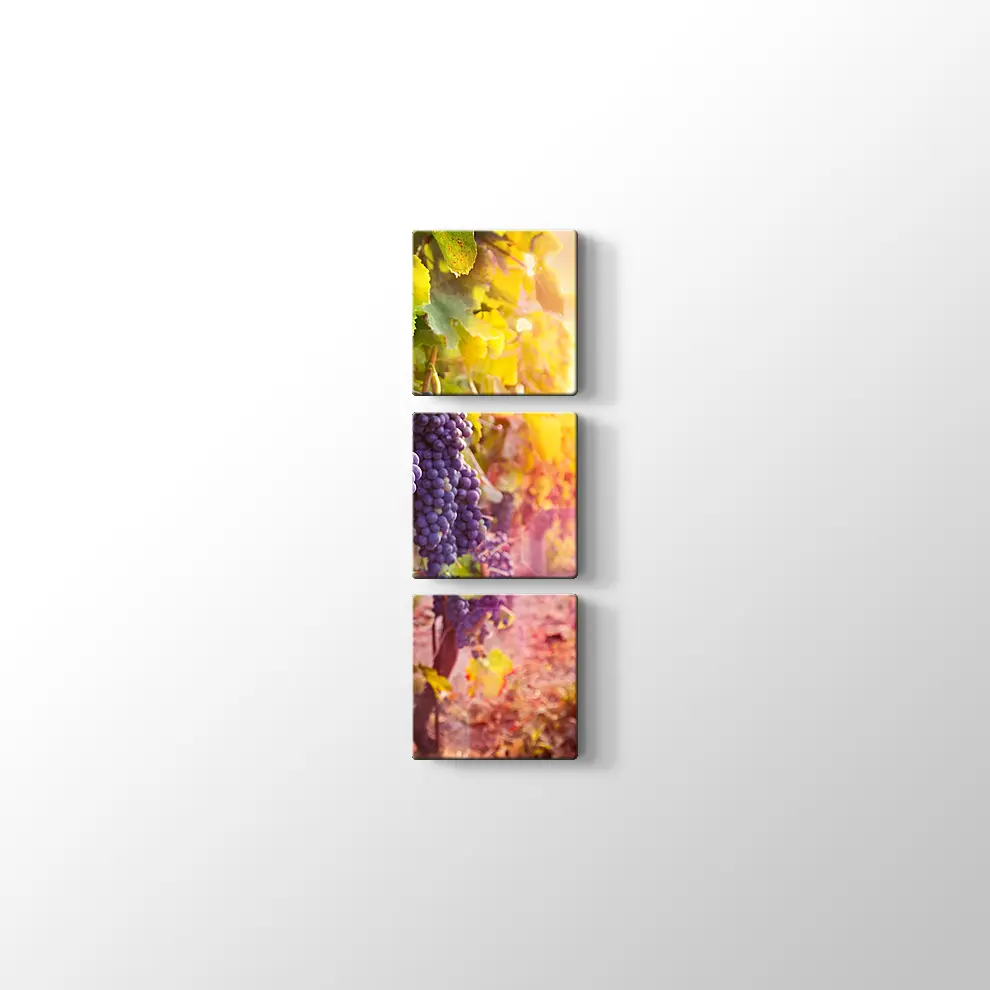 Üzüm Salkımları Kanvas Tablo