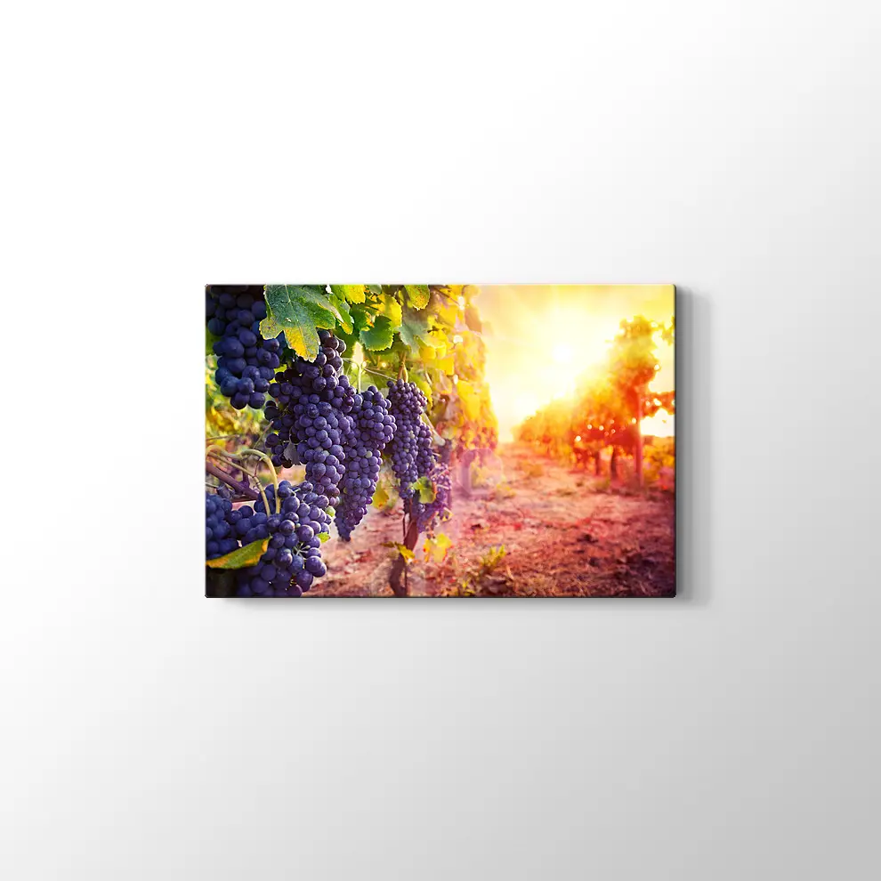 Üzüm Salkımları Kanvas Tablo