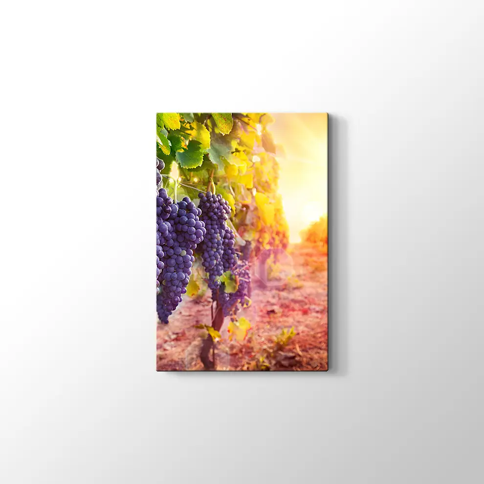 Üzüm Salkımları Kanvas Tablo