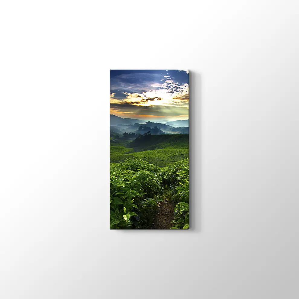 Çay Bahçesi Kanvas Tablo