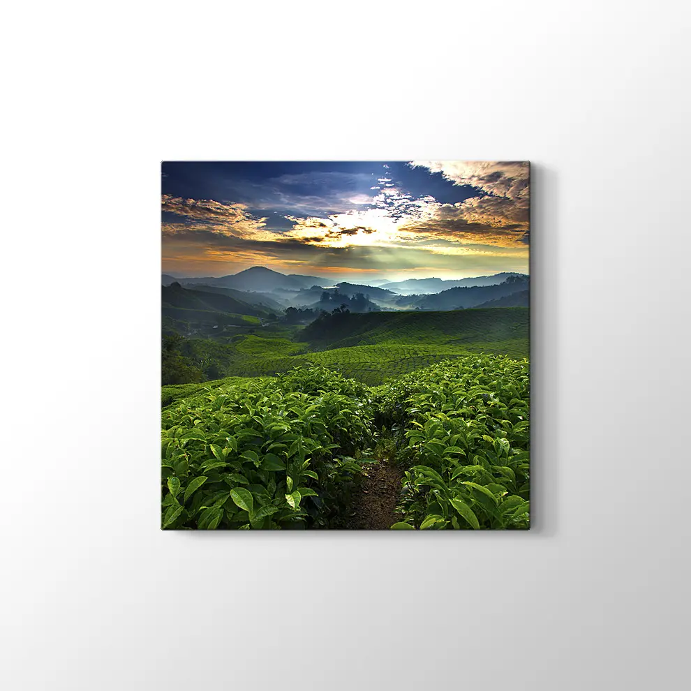 Çay Bahçesi Kanvas Tablo