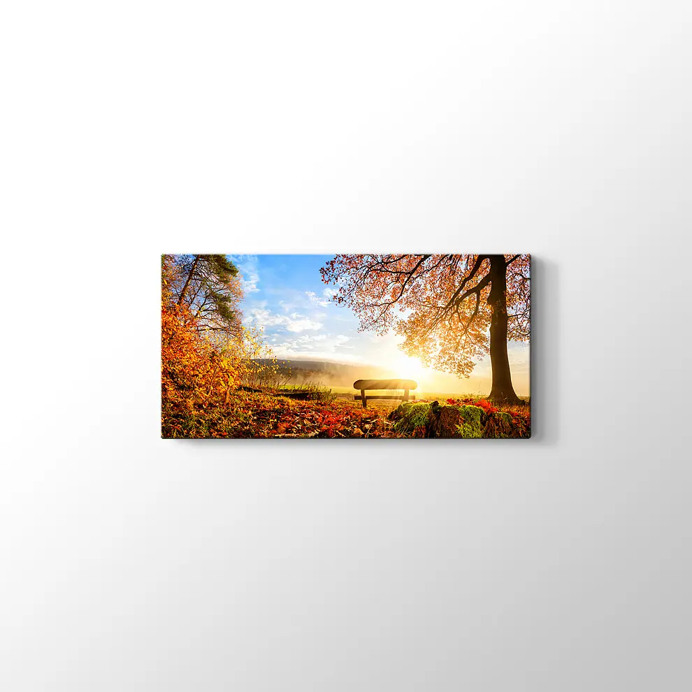 Sonbahar Ormanındak Bank Kanvas Tablo
