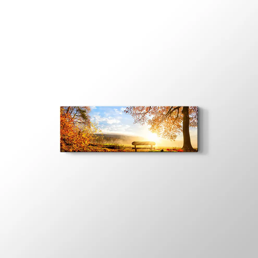 Sonbahar Ormanındak Bank Kanvas Tablo