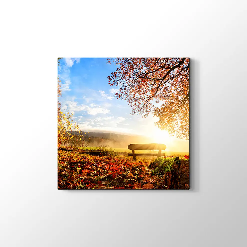 Sonbahar Ormanındak Bank Kanvas Tablo