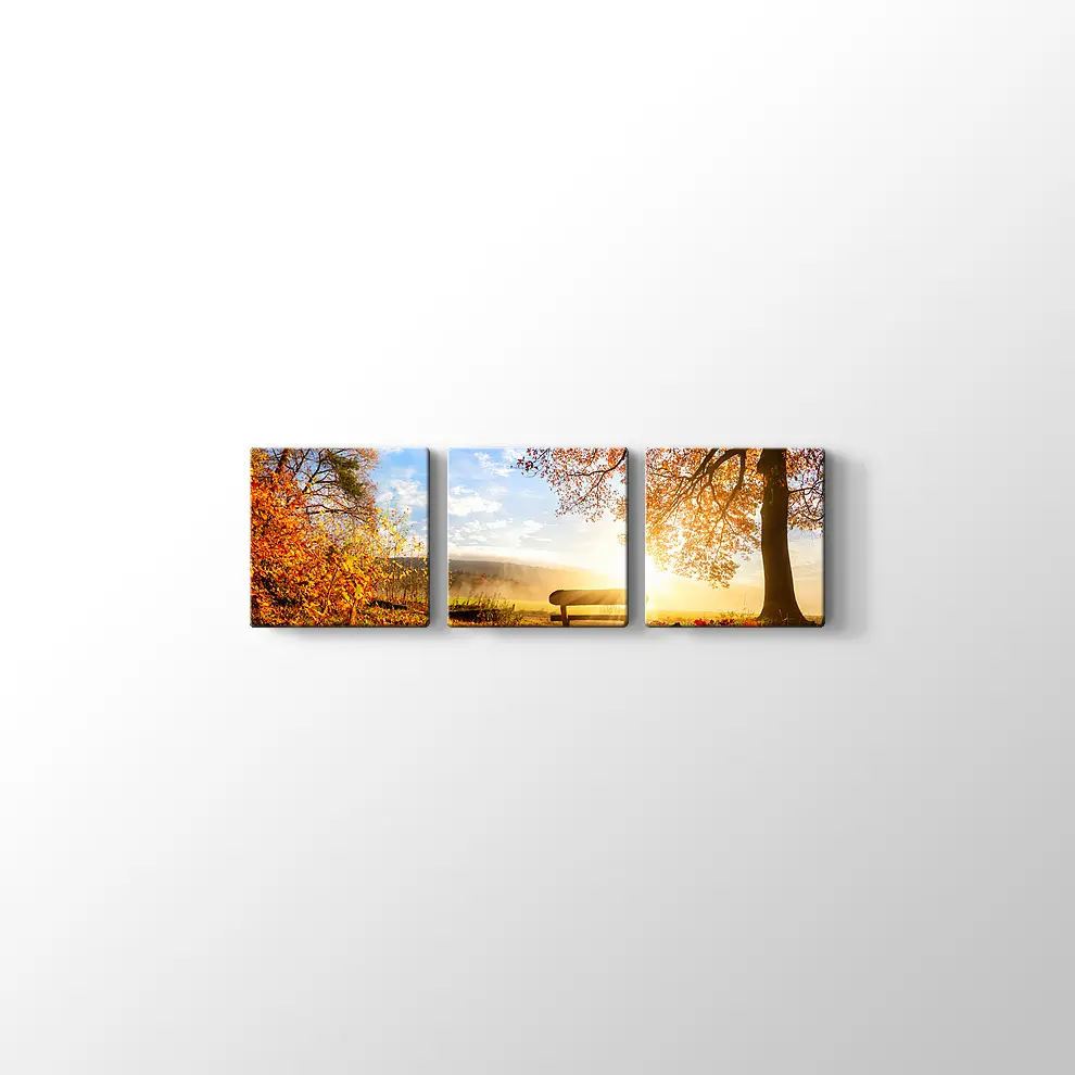 Sonbahar Ormanındak Bank Kanvas Tablo