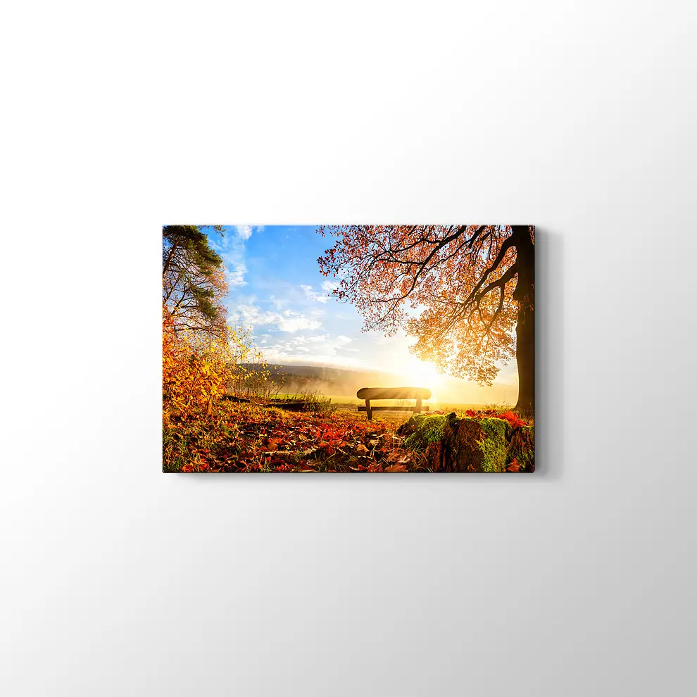 Sonbahar Ormanındak Bank Kanvas Tablo