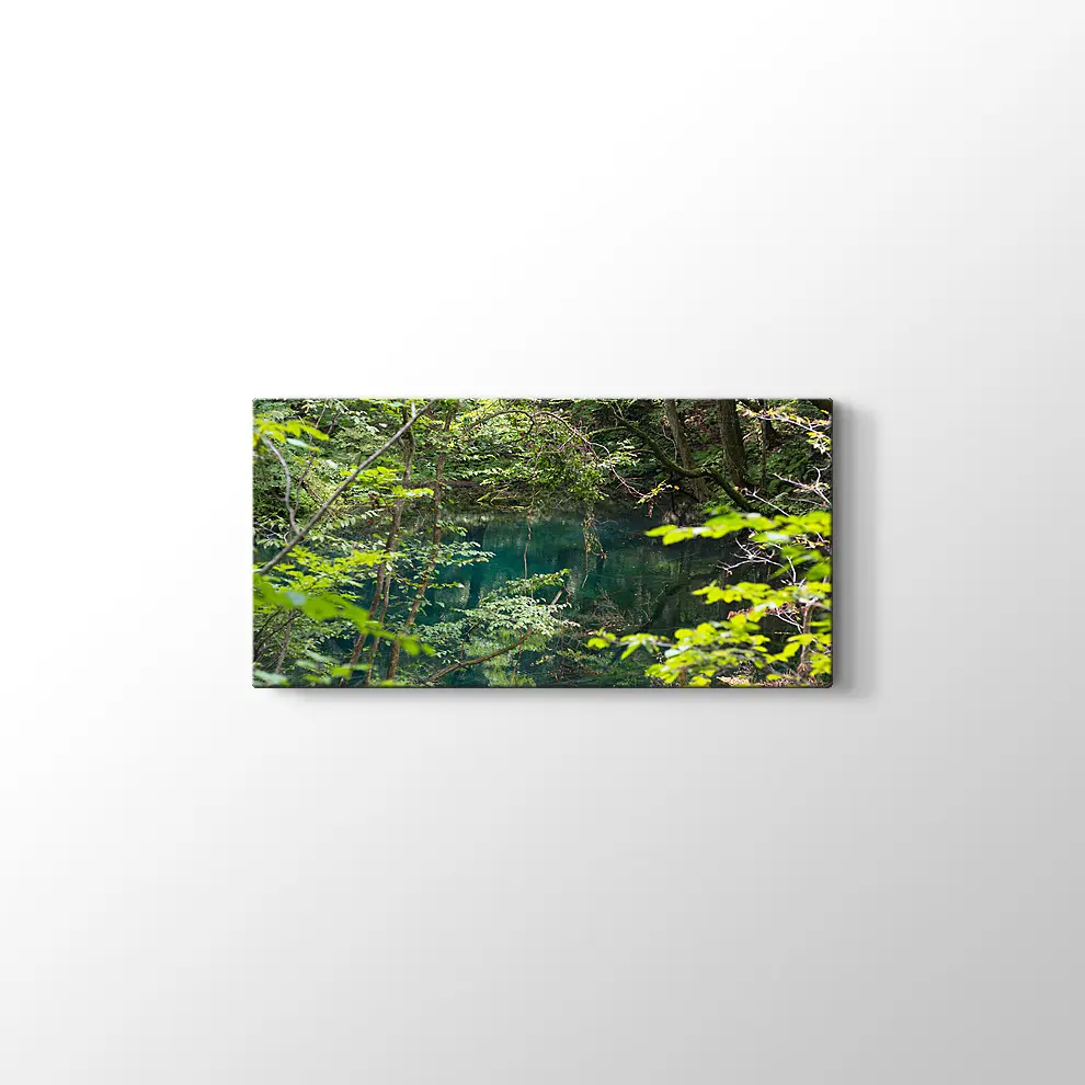 Shirakami Jyuniko Kanvas Tablo