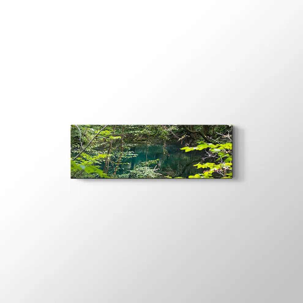 Shirakami Jyuniko Kanvas Tablo