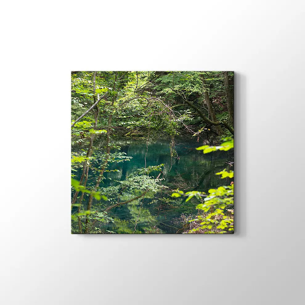 Shirakami Jyuniko Kanvas Tablo