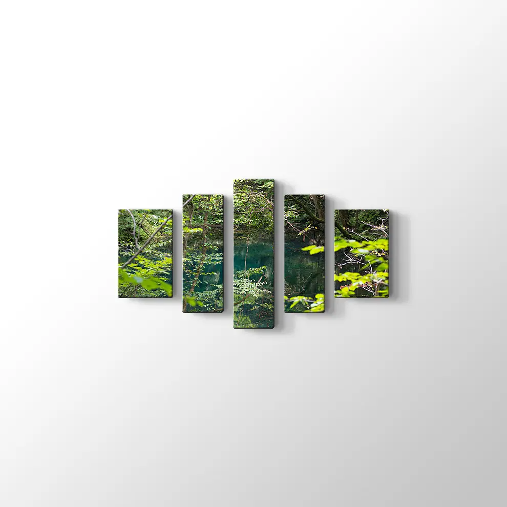 Shirakami Jyuniko Kanvas Tablo