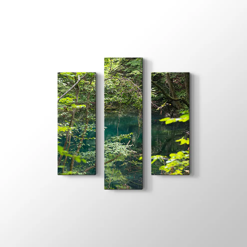 Shirakami Jyuniko Kanvas Tablo