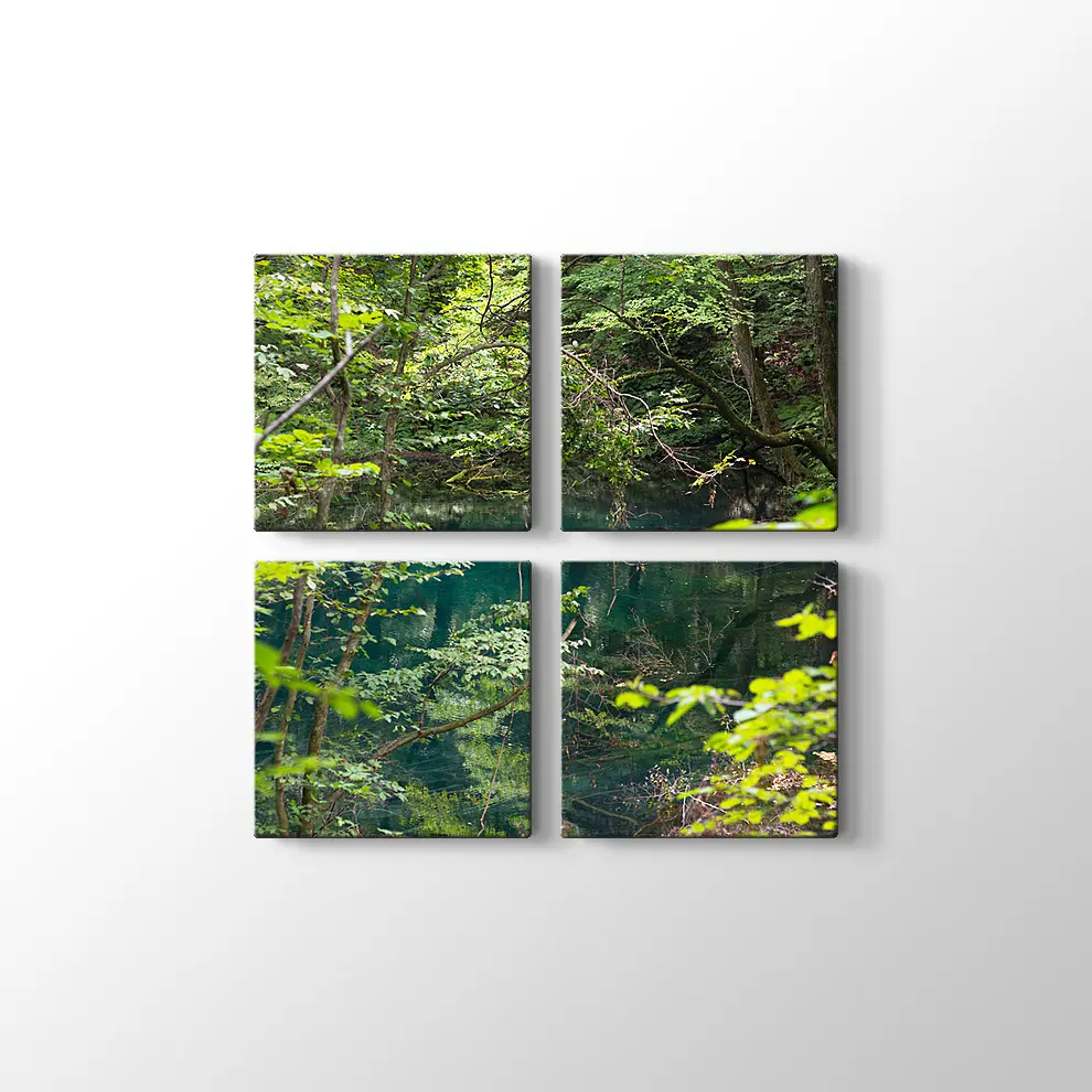 Shirakami Jyuniko Kanvas Tablo