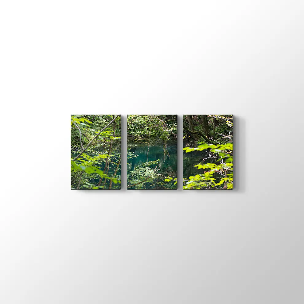 Shirakami Jyuniko Kanvas Tablo