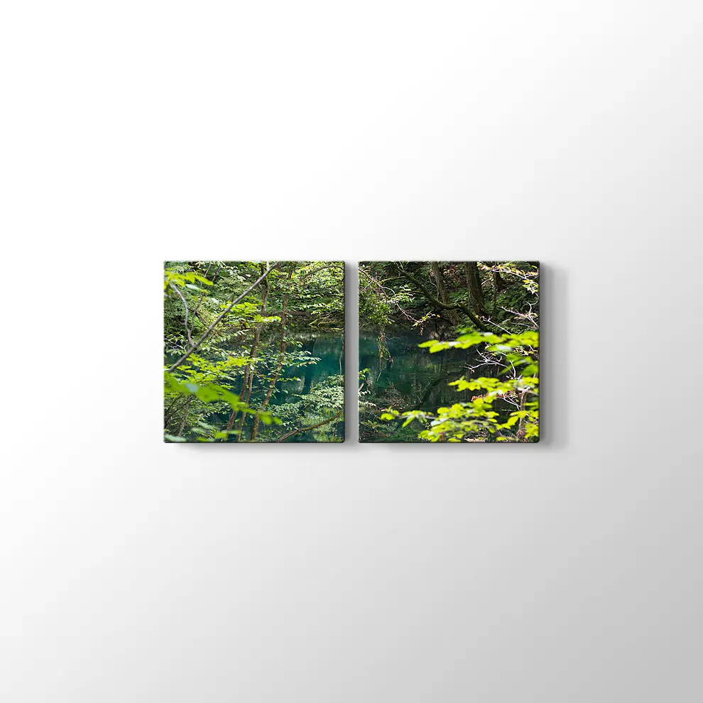 Shirakami Jyuniko Kanvas Tablo