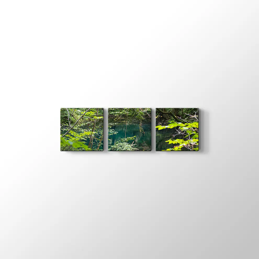 Shirakami Jyuniko Kanvas Tablo