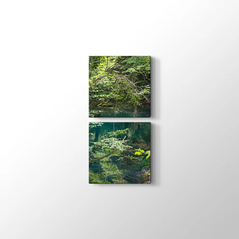 Shirakami Jyuniko Kanvas Tablo