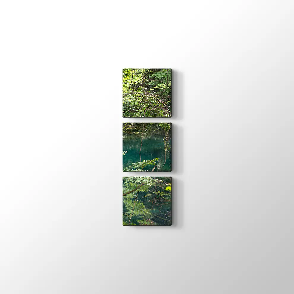 Shirakami Jyuniko Kanvas Tablo