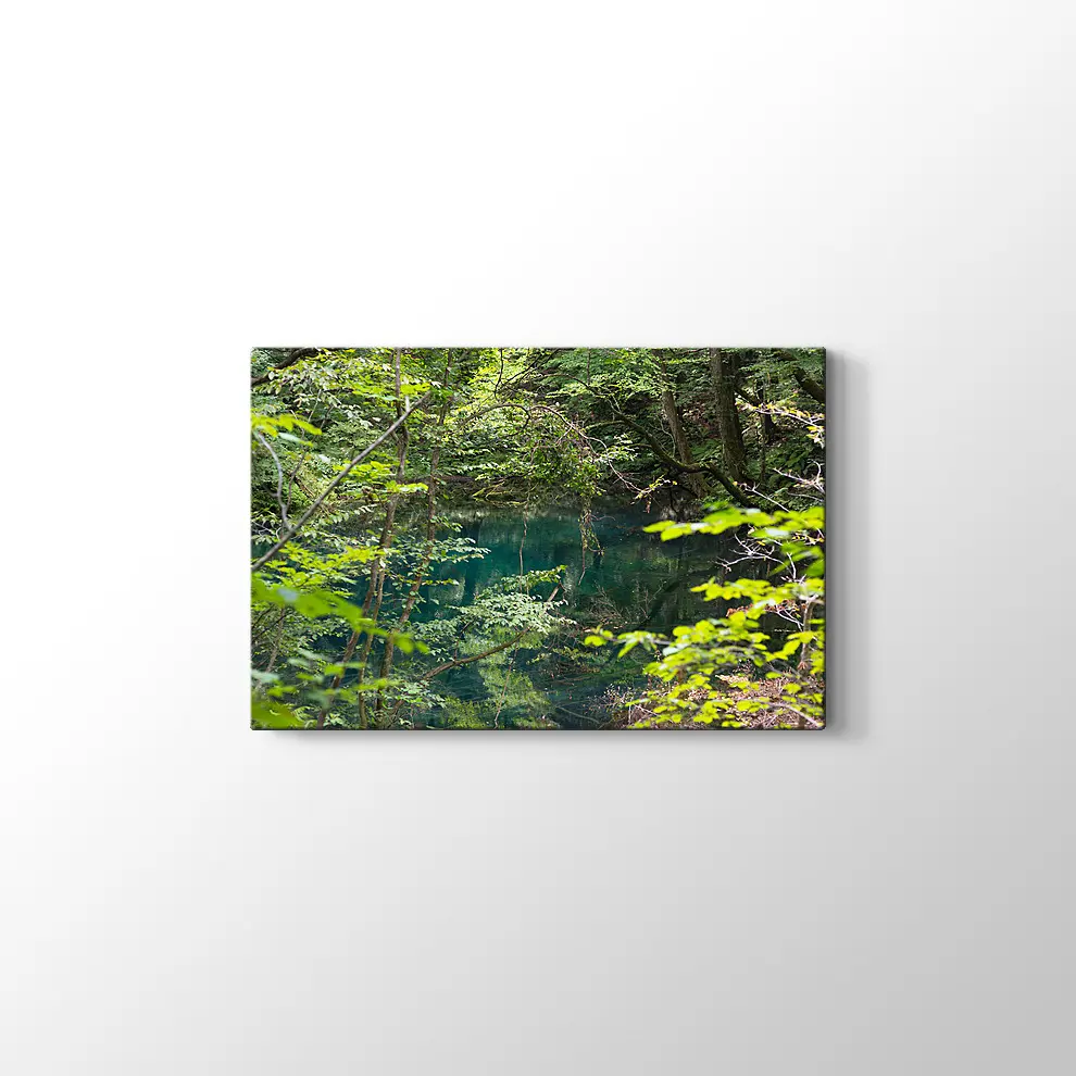 Shirakami Jyuniko Kanvas Tablo