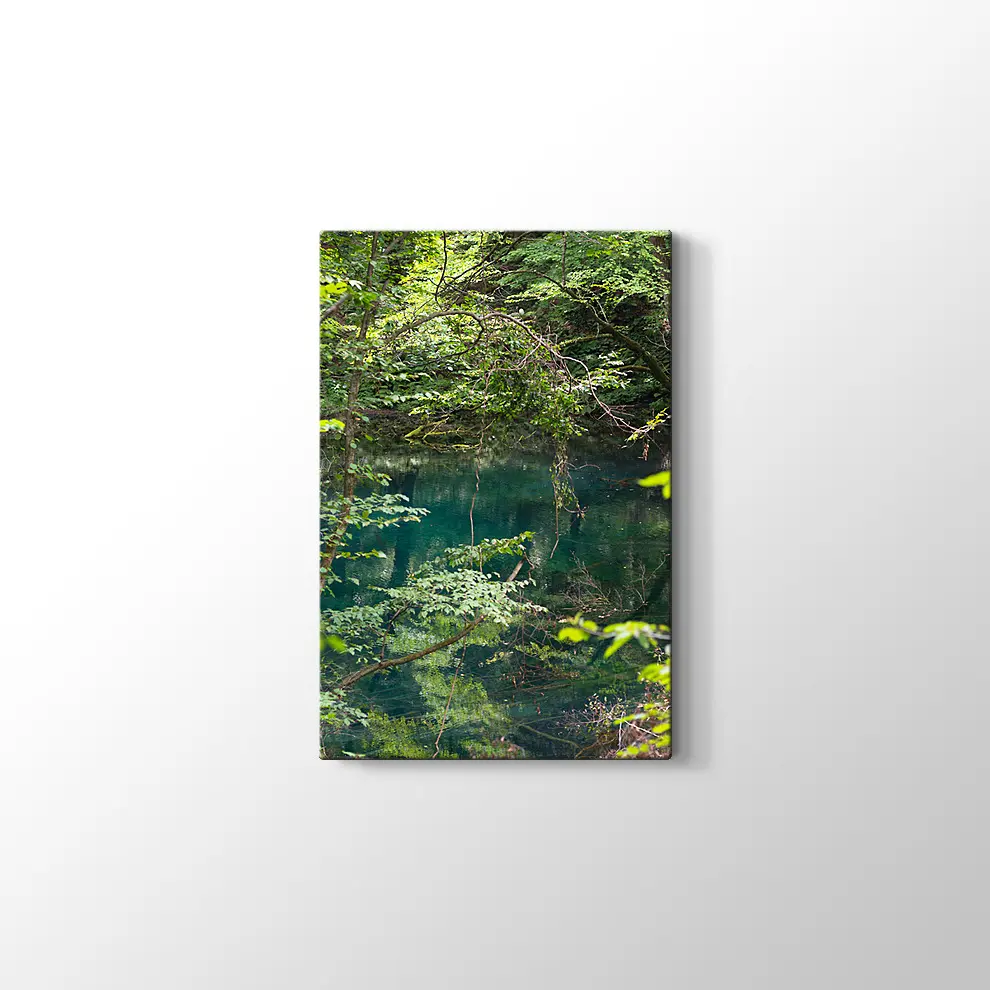 Shirakami Jyuniko Kanvas Tablo