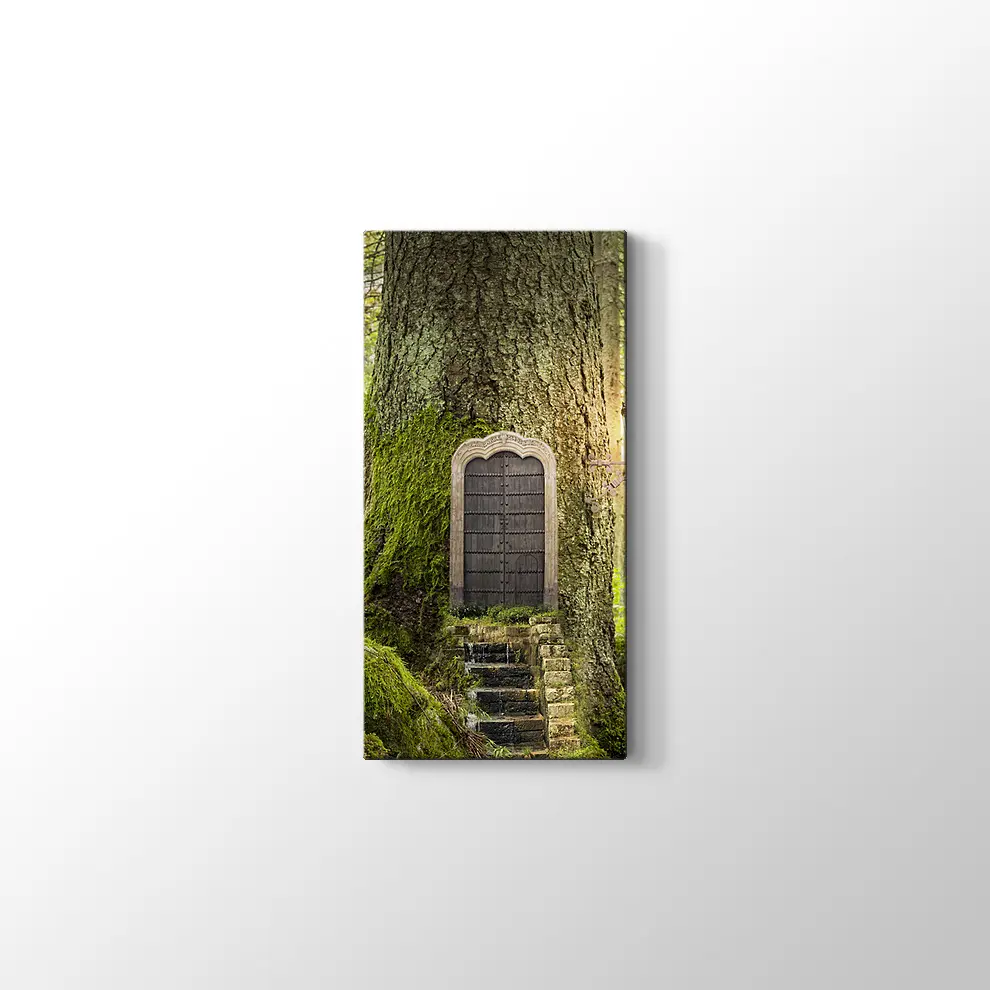 Sihirli Orman Kanvas Tablo