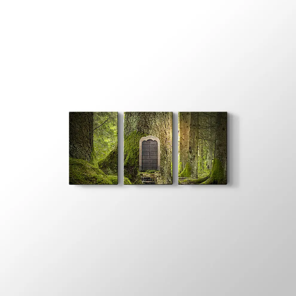 Sihirli Orman Kanvas Tablo