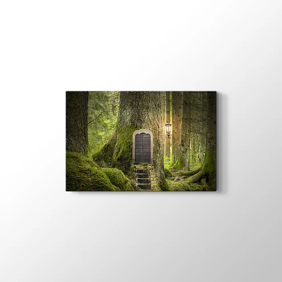 Sihirli Orman Kanvas Tablo
