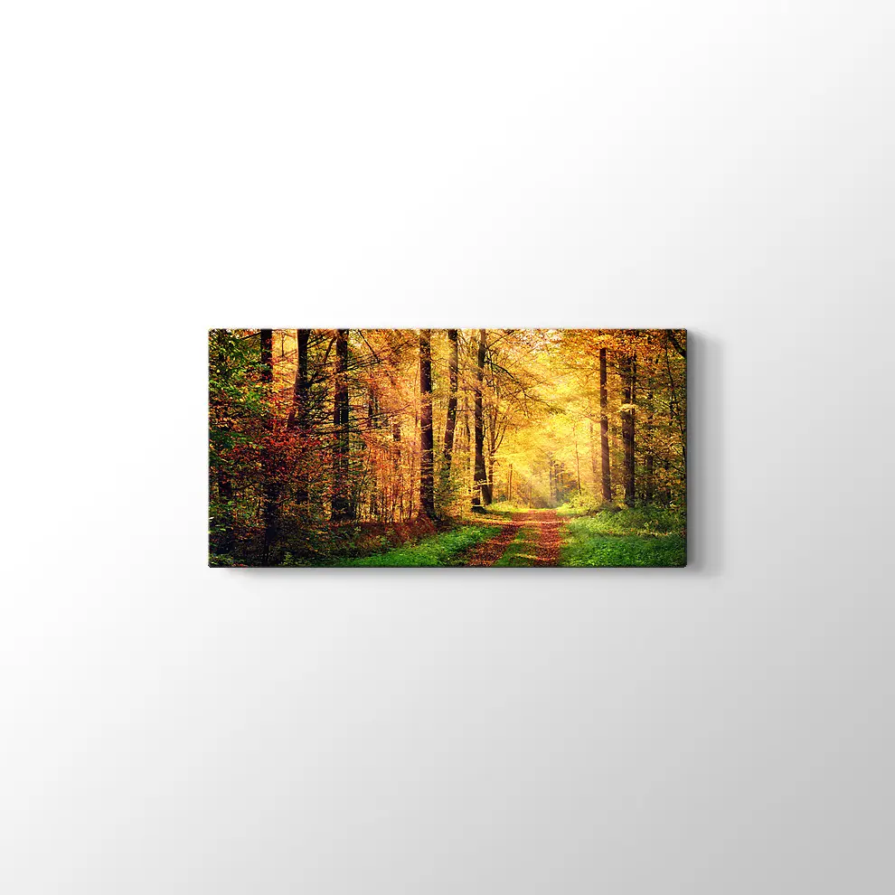 Sonbahar Orman Kanvas Tablo