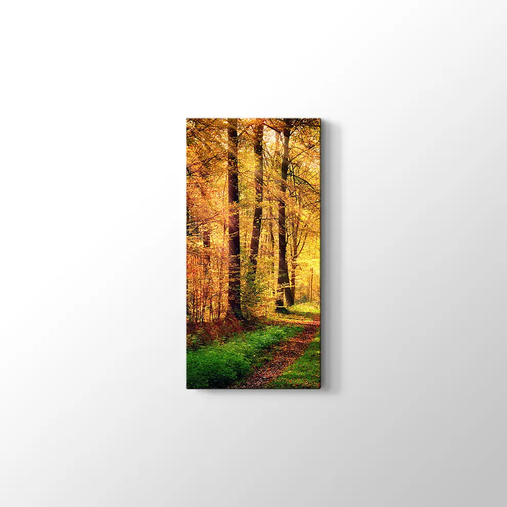 Sonbahar Orman Kanvas Tablo