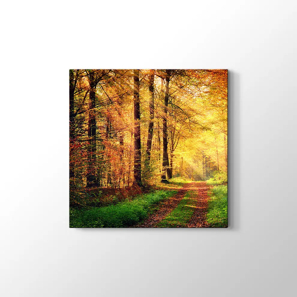 Sonbahar Orman Kanvas Tablo