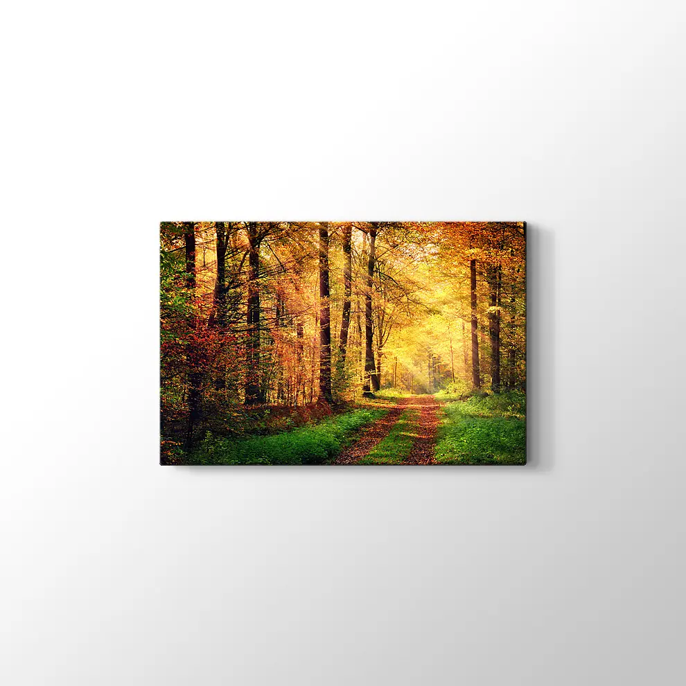 Sonbahar Orman Kanvas Tablo