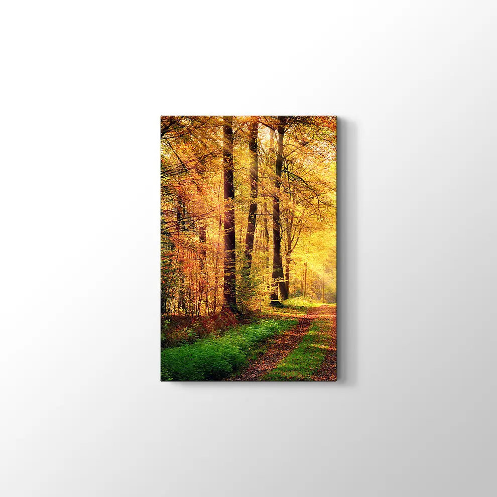 Sonbahar Orman Kanvas Tablo