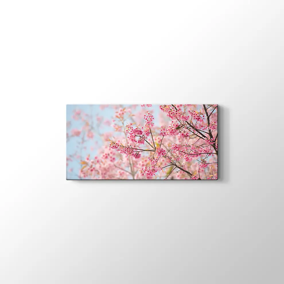 Sakura Çiçeği Kanvas Tablo