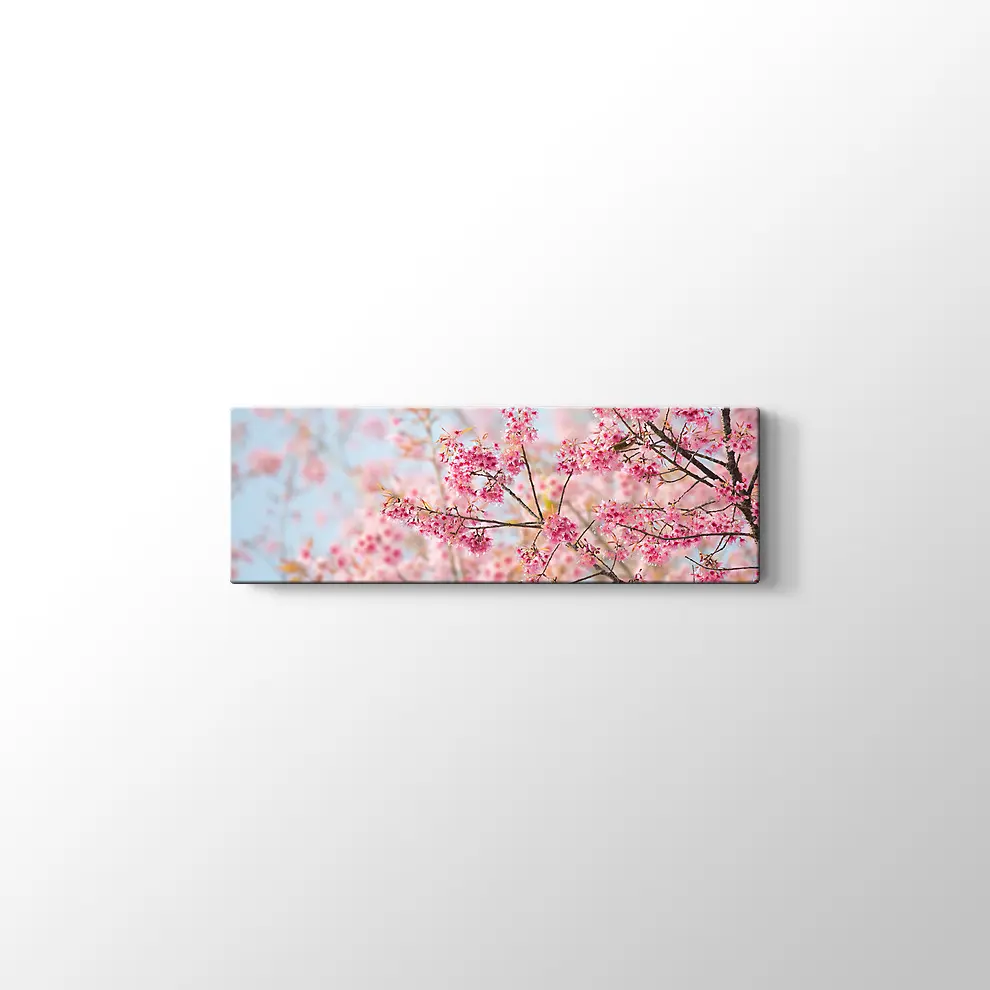 Sakura Çiçeği Kanvas Tablo