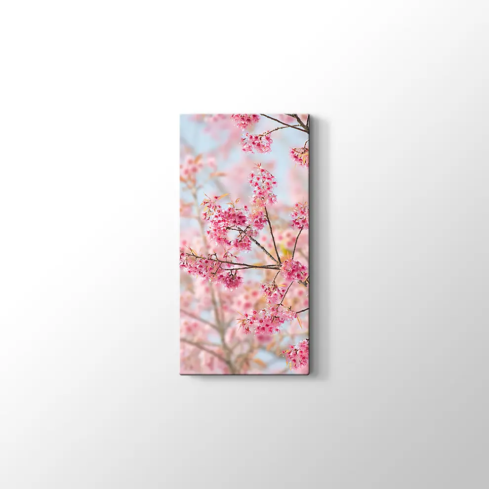Sakura Çiçeği Kanvas Tablo