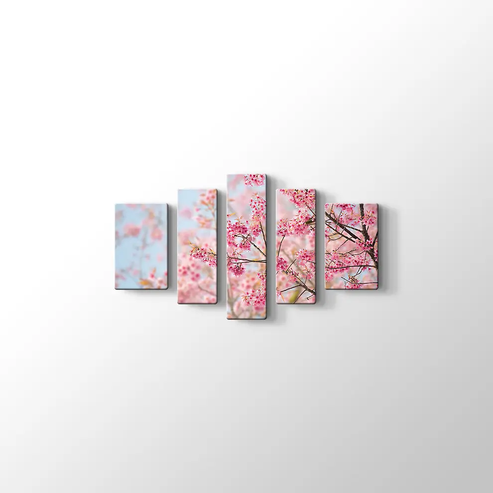 Sakura Çiçeği Kanvas Tablo