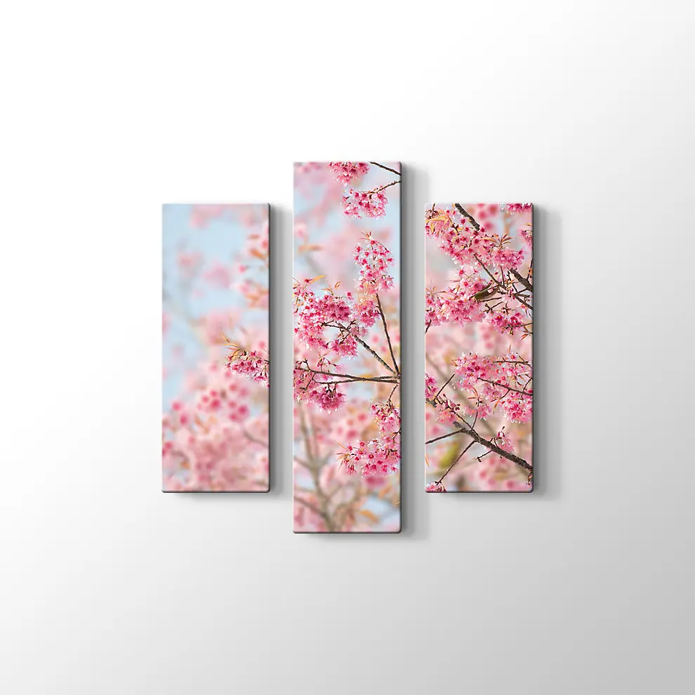 Sakura Çiçeği Kanvas Tablo