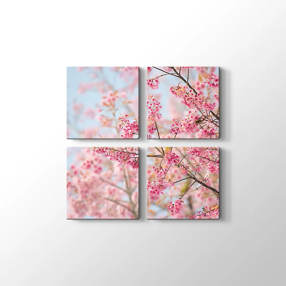 Sakura Çiçeği Kanvas Tablo