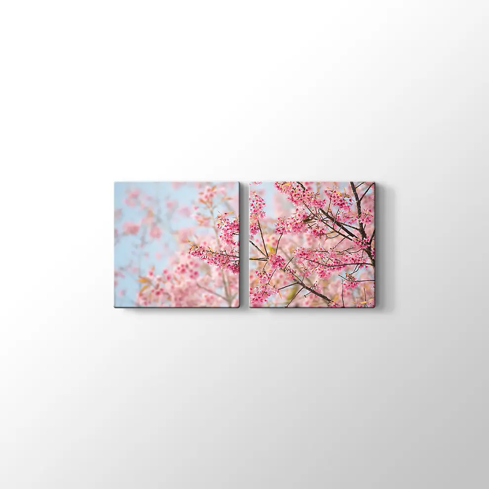 Sakura Çiçeği Kanvas Tablo