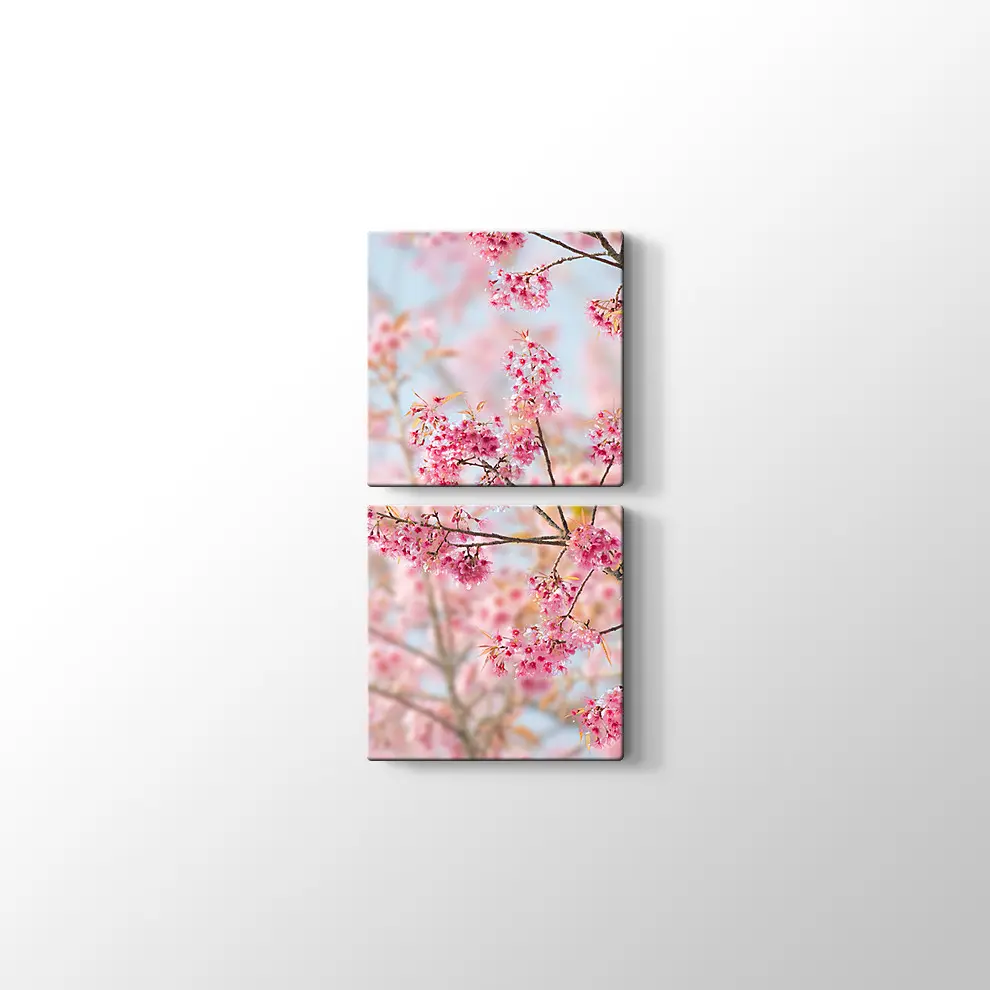 Sakura Çiçeği Kanvas Tablo
