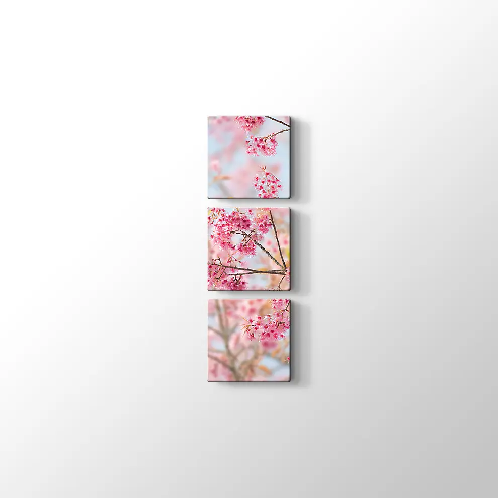 Sakura Çiçeği Kanvas Tablo