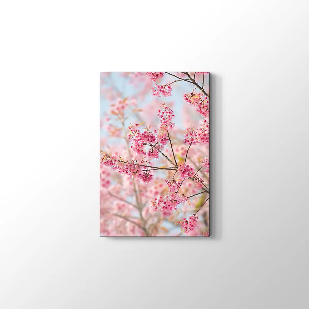 Sakura Çiçeği Kanvas Tablo