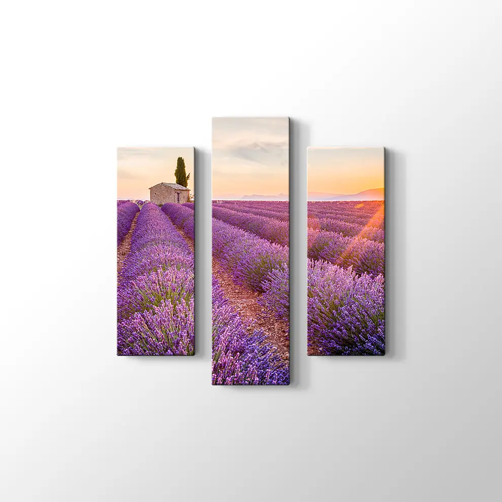 Günbatımında Lavanta Tarlası Kanvas Tablo