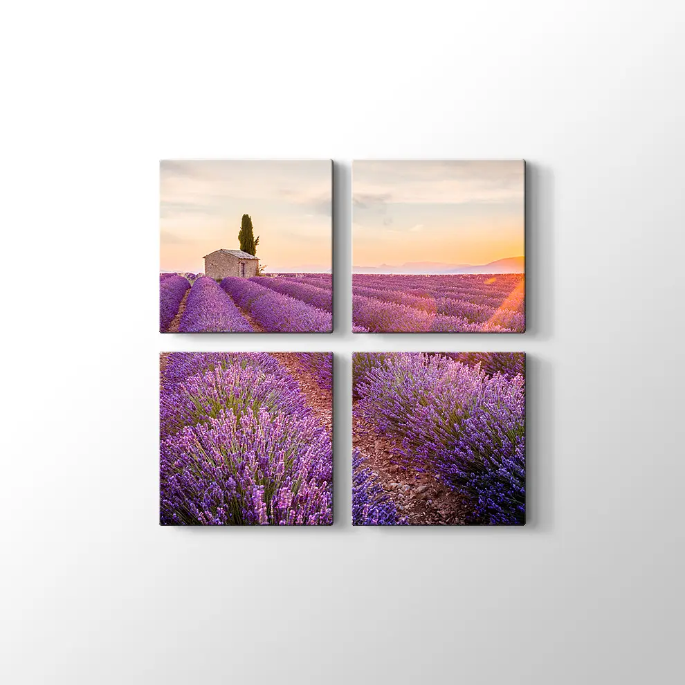 Günbatımında Lavanta Tarlası Kanvas Tablo